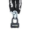 Oxford Nemesis Chain & Padlock