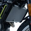 R&G Radiator Guard for Husqvarna Svartpilen 401 (2018-2023) | R&G Radiator Guards from Two Wheel Centre Mansfield Ltd
