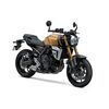 Suzuki GSX-8T - Candy Burnt Gold | New Suzuki Motorcycles | Two Wheel Centre Mansfield Ltd