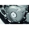 Suzuki Inazuma 250 chrome crankcase plug