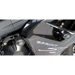 R&G Crash Protectors - Triumph Sprint ST