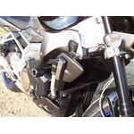R&G Crash Protectors - Aprilia Tuono (2006-2007) | Free UK Delivery