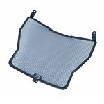 R&G Radiator Guard for BMW S1000R (2017-2020) | R&G Radiator Guards from Two Wheel Centre Mansfield Ltd