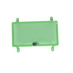R&G Radiator Guard for Kawasaki Versys-X 250/300 (2017-2020) | R&G Radiator Guards from Two Wheel Centre Mansfield Ltd