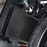 R&G Radiator Guard for Harley-Davidson Pan America 1250/Special (2021-2023) | R&G Radiator Guards from Two Wheel Centre Mansfield Ltd