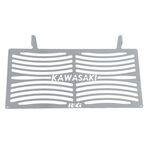 R&G Branded Radiator Guard for Kawasaki Z125/Ninja 125 (2019-Current) | Two Wheel Centre Mansfield Ltd