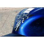 Suzuki Hayabusa Tank Pad Protector