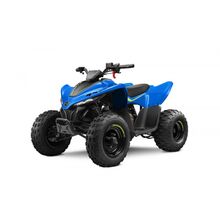 CFMOTO Junior Kids Off Road Quads Two Wheel Centre