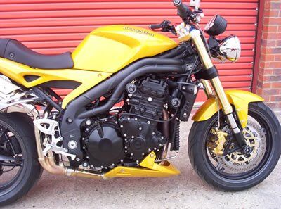 R&G Crash Protectors - Triumph Speed Triple (1997-2007) | Free UK Delivery
