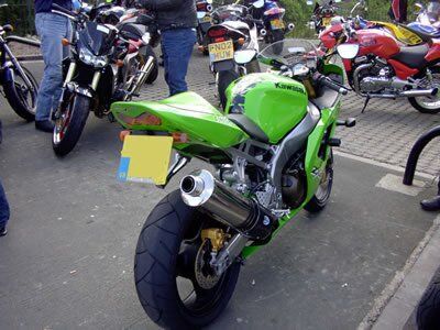 R&G Tail Tidy | Free UK Delivery