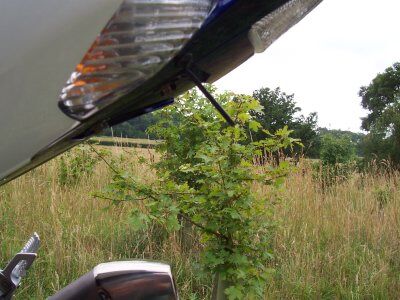 R&G Tail Tidy | Free UK Delivery